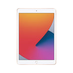 Apple iPad 2020 (10.2-inch, Wi-Fi, 32GB) - Space Gray (Renewed)